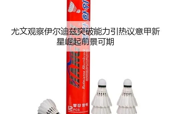 尤文观察伊尔迪兹突破能力引热议意甲新星崛起前景可期
